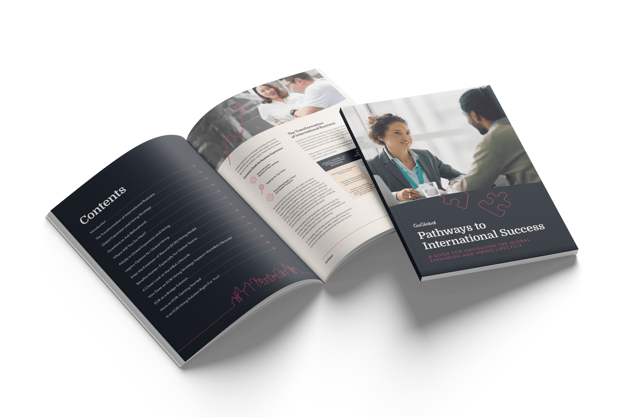 Pathways to International Success Cover
